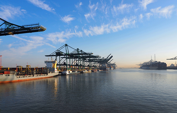 Antwerp has continued its container volume growth this year.